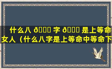 什么八 🐛 字 🐕 是上等命格女人（什么八字是上等命中等命下等命）